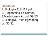 Lapas - fotosintezės organas 4 puslapis