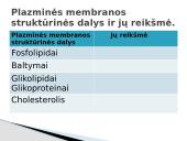 Plazminės membranos (plazmolemos) sandara ir savybės 11 puslapis