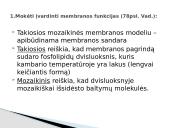 Plazminės membranos (plazmolemos) sandara ir savybės 4 puslapis