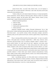 Dalykinės komunikacijos reikšmė, formuojant įmonės įvaizdį (tvarkomieji dokumentai) 11 puslapis