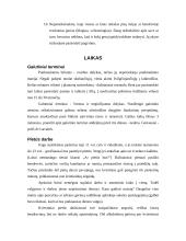 Dalykinio bendravimo su  Britanijos partneriais ypatumai 12 puslapis