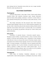 Dalykinio bendravimo su  Britanijos partneriais ypatumai 13 puslapis