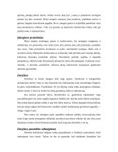 Dalykinio bendravimo su  Britanijos partneriais ypatumai 15 puslapis