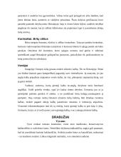 Dalykinio bendravimo su  Britanijos partneriais ypatumai 16 puslapis