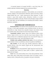 Dalykinio bendravimo su  Britanijos partneriais ypatumai 17 puslapis