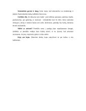 Dalykinio bendravimo su  Britanijos partneriais ypatumai 18 puslapis