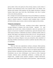 Dalykinio bendravimo su  Britanijos partneriais ypatumai 9 puslapis