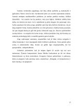 Dalykinio bendravimo su Suomijos partneriais ypatumai 13 puslapis