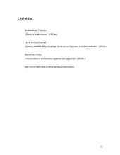 Dalykinio bendravimo su Suomijos partneriais ypatumai 15 puslapis