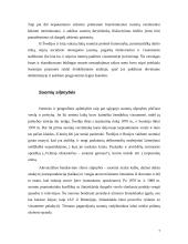 Dalykinio bendravimo su Suomijos partneriais ypatumai 7 puslapis