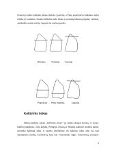 Dalykinio bendravimo su Suomijos partneriais ypatumai 9 puslapis