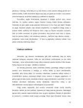 Dalykinio bendravimo su Suomijos partneriais ypatumai 10 puslapis