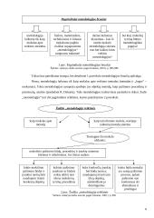 Mokslo metodologijos samprata 5 puslapis