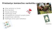 Narkotikai ir jų rūšių aprašymai 5 puslapis