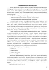 Darbas su bendruomene socialiniame darbe 4 puslapis