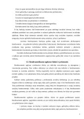 Darbas su bendruomene socialiniame darbe 5 puslapis