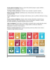 Įmonių socialinės atsakomybės teorija 11 puslapis