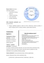 Įmonių socialinės atsakomybės teorija 3 puslapis