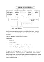 Įmonių socialinės atsakomybės teorija 6 puslapis