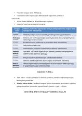 Įmonių socialinės atsakomybės teorija 9 puslapis