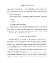 Darbo apmokėjimas UAB "X" 3 puslapis