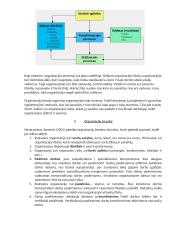 Vadybos egzamino pasiruošimui 2 puslapis