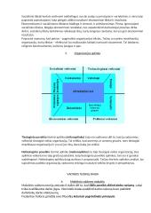 Vadybos egzamino pasiruošimui 4 puslapis