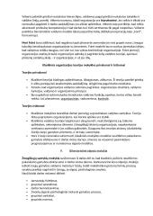 Vadybos egzamino pasiruošimui 7 puslapis