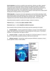 Vadybos egzamino pasiruošimui 10 puslapis