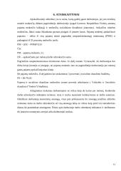 Darbo apmokėjimo organizavimo tobulinimas 12 puslapis