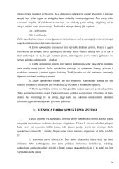 Darbo apmokėjimo organizavimo tobulinimas 20 puslapis