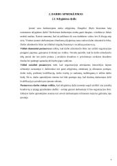 Darbo apmokėjimo organizavimo tobulinimas 4 puslapis
