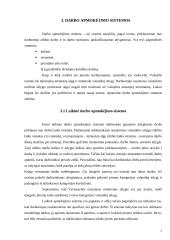 Darbo apmokėjimo organizavimo tobulinimas 5 puslapis