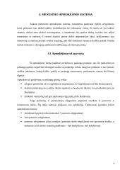 Darbo apmokėjimo organizavimo tobulinimas 9 puslapis