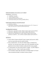 Francas Kafka ,,Metamorfozė'' 13 puslapis