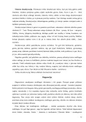 Darbo ir civilinės saugos savarankiškas darbas 12 puslapis