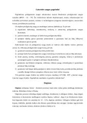 Darbo ir civilinės saugos savarankiškas darbas 3 puslapis