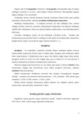 Darbo ir civilinės saugos savarankiškas darbas 4 puslapis