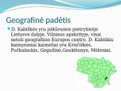 D Kabiškių kaimo senų vietų palyginimas su šiuolaikinėmis 2 puslapis