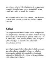 Įdomūs faktai apie Vokietiją 6 puslapis