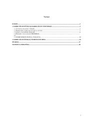 Darbo išteklių analizė ir vystymosi tendencijos Lietuvoje 2 puslapis