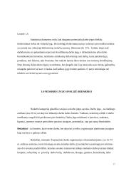 Darbo išteklių analizė ir vystymosi tendencijos Lietuvoje 17 puslapis