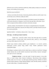 Darbo išteklių analizė ir vystymosi tendencijos Lietuvoje 18 puslapis