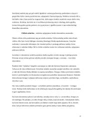 Darbo išteklių analizė ir vystymosi tendencijos Lietuvoje 20 puslapis