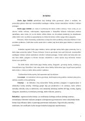 Darbo išteklių analizė ir vystymosi tendencijos Lietuvoje 3 puslapis