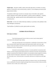 Darbo išteklių analizė ir vystymosi tendencijos Lietuvoje 4 puslapis