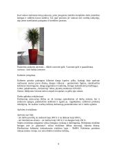 Ofiso įrengimas projektuojant kompiuterizuotas darbo vietas 8 puslapis