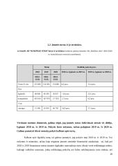 AB „Rokiškio sūris” veiklos ekonominis vertinimas 16 puslapis