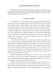 AB „Rokiškio sūris” veiklos ekonominis vertinimas 6 puslapis