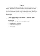 Darbo laiko sąnaudos 2 puslapis